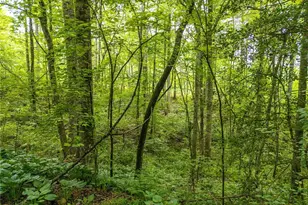 407 Westwind Circle, Ellijay, GA 30540 - Photo 38