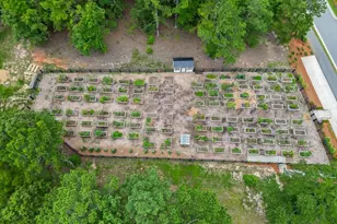 295 Conway Trl, Hoschton, GA 30548 - Photo 44