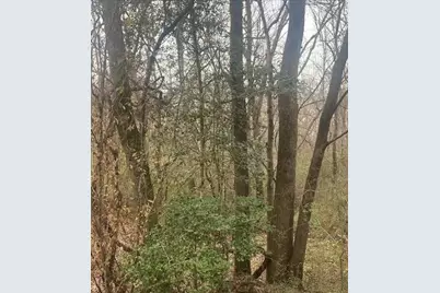0 Jack Pittman Rd, Dacula, GA 30019 - Photo 10