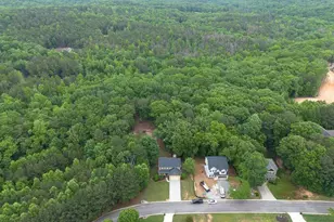 305 Birchwood Farms Ln, Dallas, GA 30132 - Photo 2