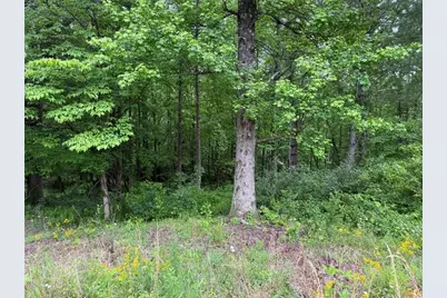 Lot 7D Meadow View Lane, Cleveland, GA 30528 - Photo 6