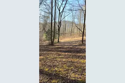 Lot 7D Meadow View Lane, Cleveland, GA 30528 - Photo 10