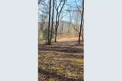 Lot 7D Meadow View Lane, Cleveland, GA 30528 - Photo 14