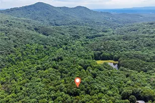 58 Peach Ln, Ellijay, GA 30536 - Photo 38