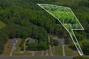 1231 Hillview Rd, Hampton, GA 30228 - Photo 48