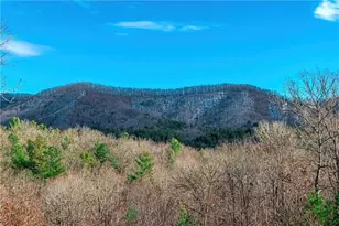 1023 Knollwood Rd, Mineral Bluff, GA 30559 - Photo 80