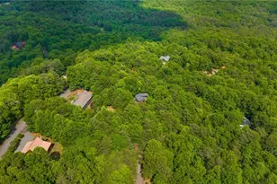 220 Blue Ridge Trails, Morganton, GA 30560 - Photo 58