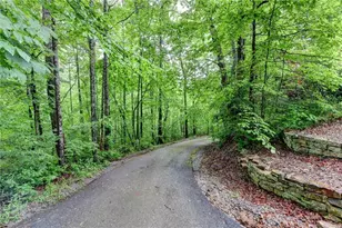 82 Walnut Grove Ln, Tiger, GA 30576 - Photo 80