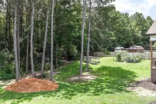 360 Johnson Rd SE, Adairsville, GA 30103 - Photo 56