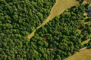 1564 Rackley Rd, Ellijay, GA 30536 - Photo 64