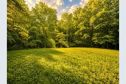 1564 Rackley Road, Ellijay, GA 30536 - Photo 12
