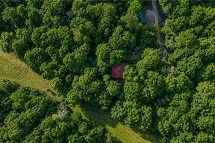 1564 Rackley Rd, Ellijay, GA 30536 - Photo 60