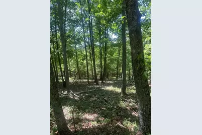 0 Owl Ridge Way, Jasper, GA 30143 - Photo 1