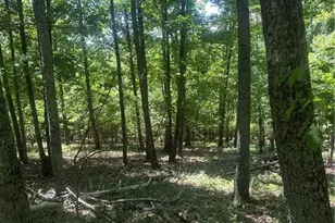 0 Owl Ridge Way, Jasper, GA 30143 - Photo 1