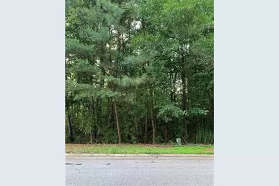 0 Huiet Drive, McDonough, GA 30252 - Photo 2