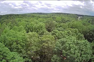 [Address not provided], Dawsonville, GA 30534 - Photo 102