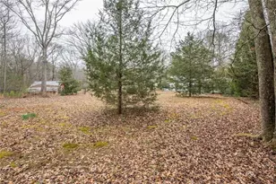 3819 Mason Creek Rd, Winston, GA 30187 - Photo 52