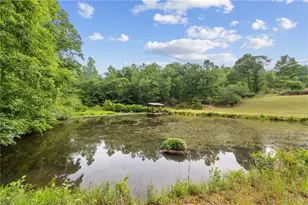 4454 Ledan Ext, Gainesville, GA 30506 - Photo 6