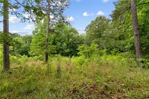 4454 Ledan Ext, Gainesville, GA 30506 - Photo 48