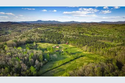 384 Maxwell Road, Blue Ridge, GA 30513 - Photo 76