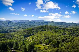 146 7 Figure Ridge, Blue Ridge, GA 30513 - Photo 68