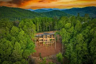 146 7 Figure Ridge, Blue Ridge, GA 30513 - Photo 4