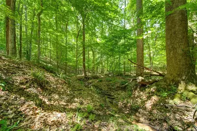 1981 Mountain Road, Alpharetta, GA 30004 - Photo 4