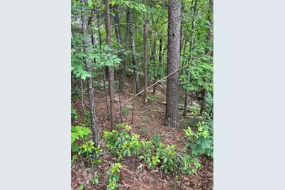 0 Hinterstraten Weg, Helen, GA 30545 - Photo 1
