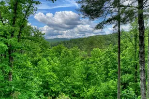 287 Rhonda Ln, Mineral Bluff, GA 30559 - Photo 58