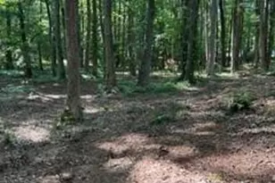 46 Davis Rd, Hiram, GA 30141 - Photo 1
