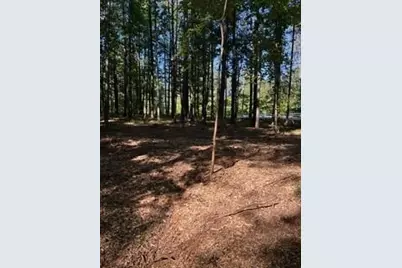 46 Davis Road, Hiram, GA 30141 - Photo 10