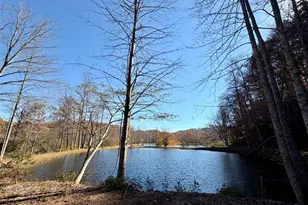 140 Cv Vw Ln, Clarkesville, GA 30523 - Photo 54