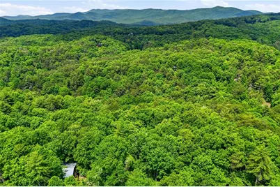 156 Dupont Drive, Blue Ridge, GA 30513 - Photo 30
