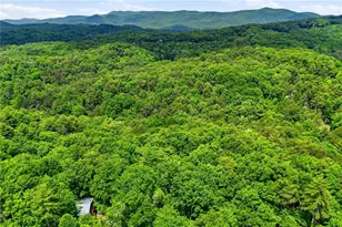 156 Dupont Drive, Blue Ridge, GA 30513 - Photo 30