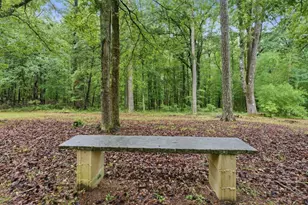 542 Knox Chapel Rd, Social Circle, GA 30025 - Photo 40