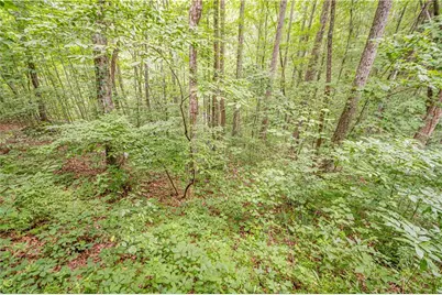 213 Moonshine Hollow, Blue Ridge, GA 30513 - Photo 46