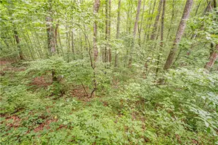 213 Moonshine Hollow, Blue Ridge, GA 30513 - Photo 46