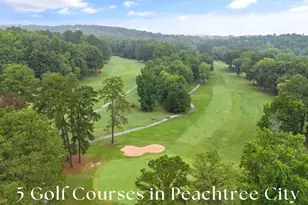 1150 Blair Ln, Peachtree City, GA 30269 - Photo 70