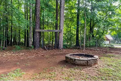 300 Cobb Court, Hampton, GA 30228 - Photo 50