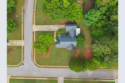 300 Cobb Court, Hampton, GA 30228 - Photo 58