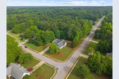 300 Cobb Court, Hampton, GA 30228 - Photo 56