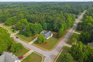 300 Cobb Ct, Hampton, GA 30228 - Photo 56