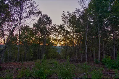 6.7 Grateful View Drive, Dahlonega, GA 30533 - Photo 16