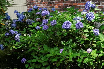 1263 Blueberry Trail, Decatur, GA 30033 - Photo 30