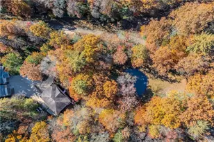 339 Wehunt Rd, Blue Ridge, GA 30513 - Photo 58