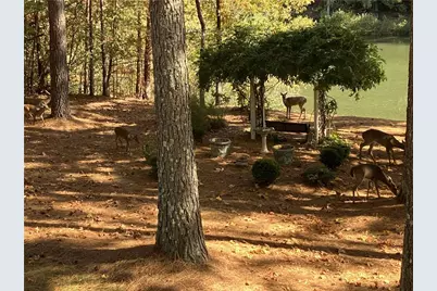 404 Golden Delicious Road, Clarkesville, GA 30523 - Photo 60