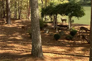 404 Golden Delicious Rd, Clarkesville, GA 30523 - Photo 60