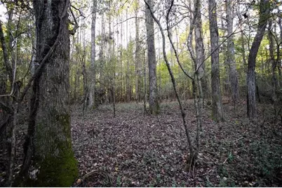 00 Thurman Baccus Road, Social Circle, GA 30025 - Photo 1