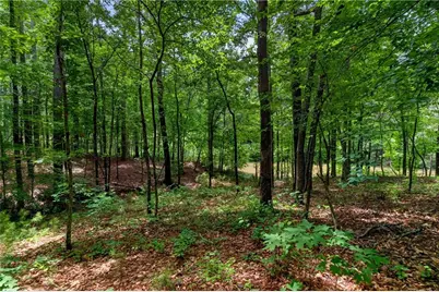 5365 Lake Redwine Cove, Acworth, GA 30101 - Photo 84