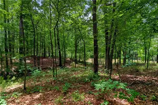 5365 Lake Redwine Cove, Acworth, GA 30101 - Photo 84